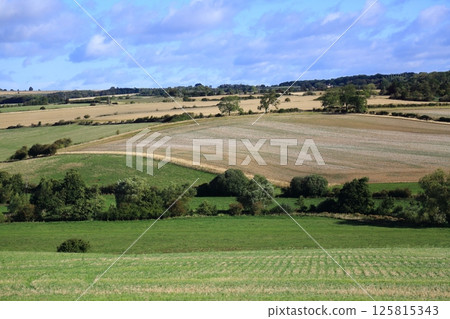 British countryside scenery 125815343