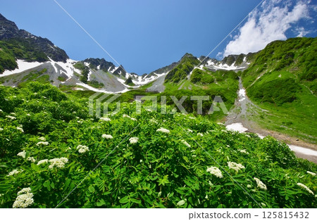 北阿爾卑斯唐澤的夏季風景 125815432