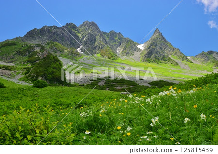 北阿爾卑斯唐澤的夏季風景 125815439