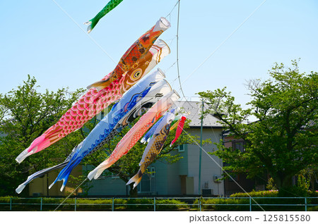 Carp streamer decoration for Boys' Festival Carp streamer decoration for Boys' Festival 125815580