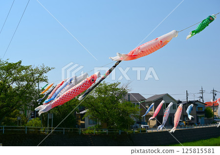男孩節的鯉魚旗裝飾 男孩節的鯉魚旗裝飾 125815581