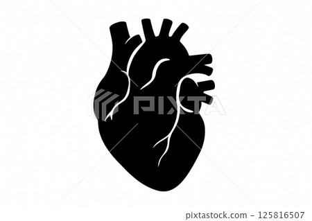 Realistic heart silhouette illustration Realistic heart silhouette illustration 125816507