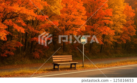 秋天的巴士站和安靜的時光 125816653