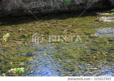 Cotswolds scenery (Bibury) 125817407