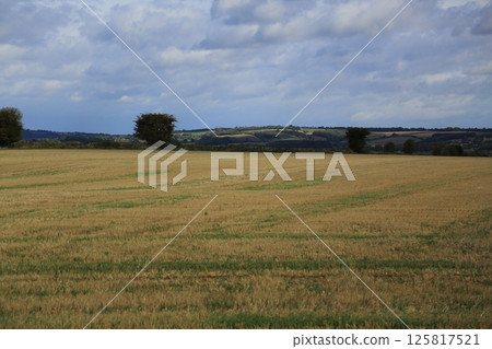 British countryside scenery British countryside scenery 125817521