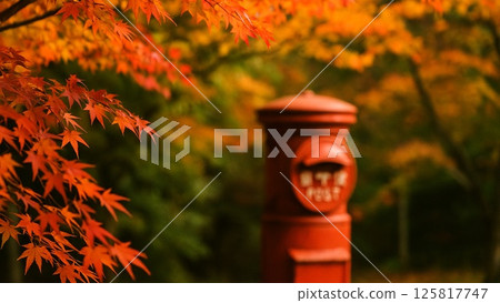 Autumnal landscape with a red postbox Autumnal landscape with a red postbox 125817747