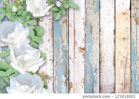 White roses on old wooden board. Valentine's day horizontal banner with romantic and vintage touch. Mother's day background with branch of climbing rose to express love, gratitude. Copy space for text White roses on old wooden board. Valentine's day horizontal banner with romantic and vintage touch. Mother's day background with branch of climbing rose to express love, gratitude. Copy space for text 125818001