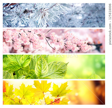 Set of horizontal nature banners. Four season of year. Each one features scene of nature, from the gentle snowfall of winter to the vibrant leaves of summer. Perfect for showcasing changing seasons Set of horizontal nature banners. Four season of year. Each one features scene of nature, from the gentle snowfall of winter to the vibrant leaves of summer. Perfect for showcasing changing seasons 125818006