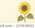 Sunflower illustration 125818022