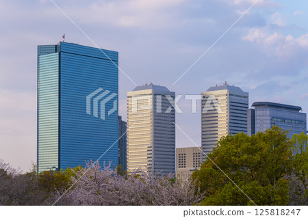 OBP illuminated by the setting sun during cherry blossom season 125818247