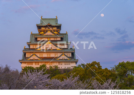 櫻花季夕陽映照下的大阪城天守閣 櫻花季夕陽映照下的大阪城天守閣 125818256