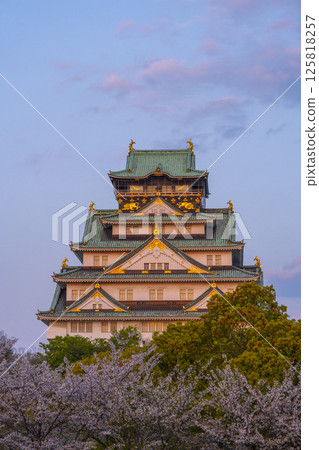 Osaka Castle tower illuminated by the setting sun during cherry blossom season 125818257