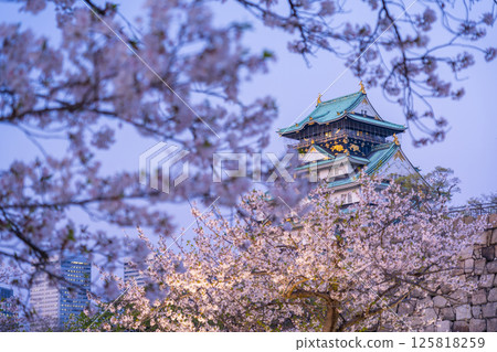 Osaka Castle tower in the twilight sky, cherry blossom season Osaka Castle tower in the twilight sky, cherry blossom season 125818259
