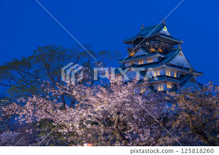 Osaka Castle Tower at night - Illuminated cherry blossoms 125818260