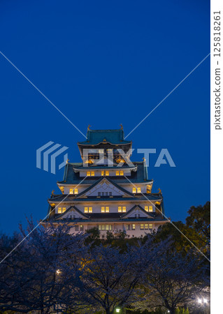 Osaka Castle Tower at night - Illuminated cherry blossoms 125818261