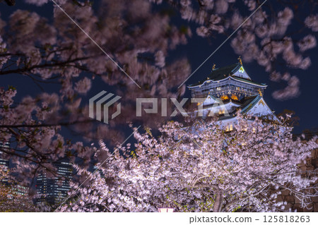 Osaka Castle Tower at night - Illuminated cherry blossoms Osaka Castle Tower at night - Illuminated cherry blossoms 125818263