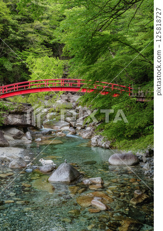 Fresh greenery in Yumori Valley, Nakatsugawa City, Gifu Prefecture 125818727