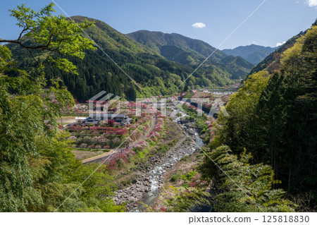 Achi Village, Nagano Prefecture - A rural landscape with peach blossoms in full bloom Achi Village, Nagano Prefecture - A rural landscape with peach blossoms in full bloom 125818830