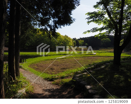 Nostalgic landscape Nostalgic landscape 125819009