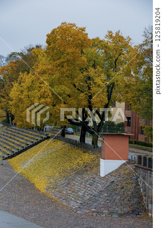 Cityscape of Lithuania in the Baltic States 125819204