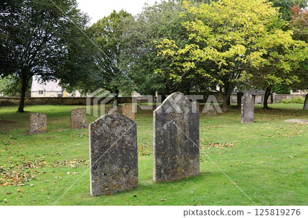 科茨沃爾德風景（斯托昂澤沃爾德） 125819276