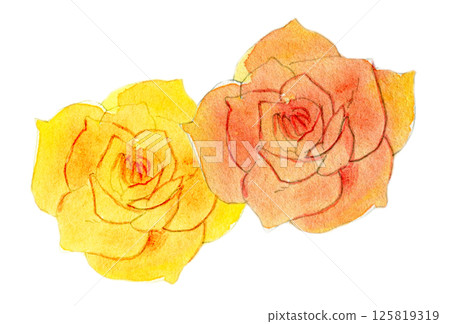 Watercolor illustration: Girly flowers, cheerful roses 125819319