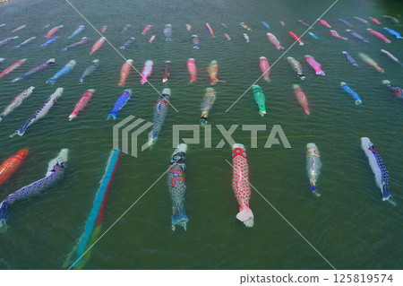 Saba River Koinagashi 3538 125819574