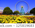 Ferris wheel of Hitachi Beach Park 125819683