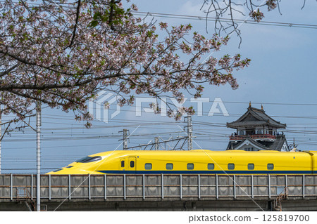 黃博士、櫻花和清洲城 125819700