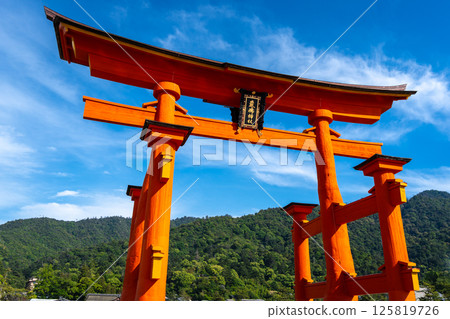 Close-up view of the famous Itsukushima shrine red torii gate in Miyajima, Japan Close-up view of the famous Itsukushima shrine red torii gate in Miyajima, Japan 125819726