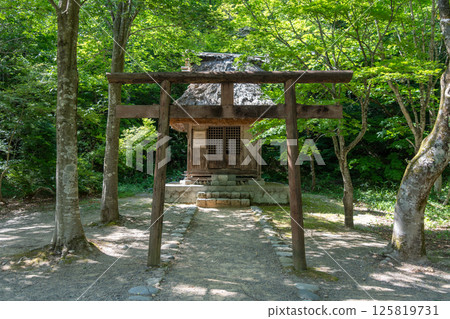 Small wooden shrine and torii gate in Shirakawa-go, Japan Small wooden shrine and torii gate in Shirakawa-go, Japan 125819731
