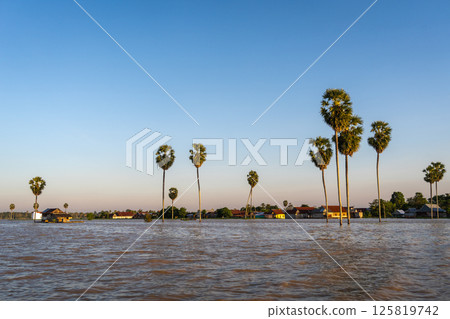 Sunset over floating Bugis fishermen village, Lake Tempe, Sulawesi, Indonesia 125819742
