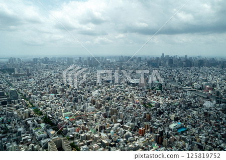 Aerial view of central Tokyo cityscape in Japan 125819752