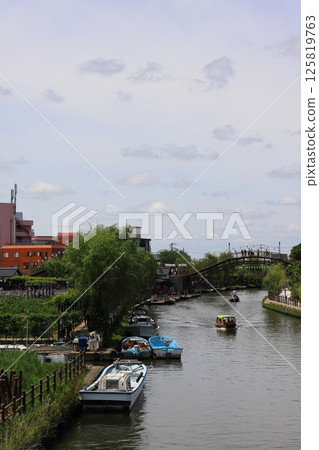 茨城潮子水鄉潮子菖蒲節 125819763