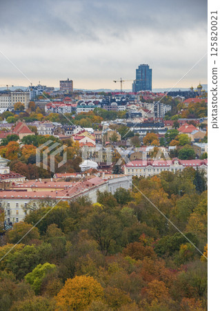 Landscape of Lithuania in the Baltic States Landscape of Lithuania in the Baltic States 125820021