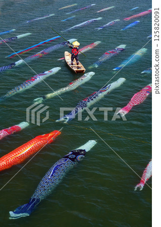 沙巴河小豬梨2980 沙巴河小豬梨2980 125820091