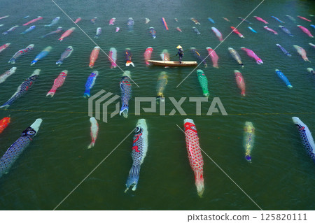 3101 Saba River Koinagashi 3101 Saba River Koinagashi 125820111