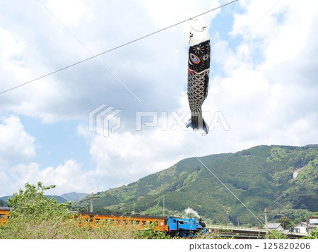 Shizuoka Prefecture Thomas the Tank Engine and Carp Streamers April 125820206
