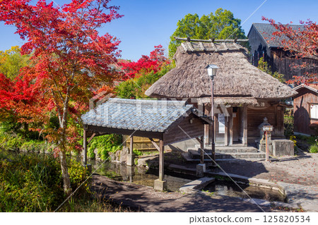 Yufuin Shimoyu's autumn leaves 125820534