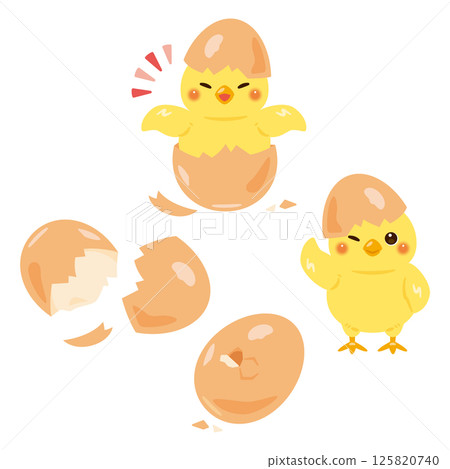 Illustration set of newly hatched chicks 125820740