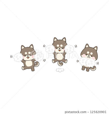 Black Shiba Inu White Cheerleader Set 125820901