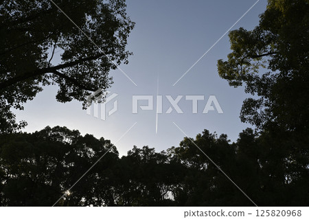 Contrails seen from Tennoji Park at dusk 125820968