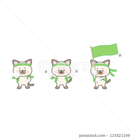 Siamese cat green cheering squad set 125821109