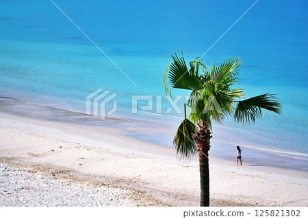Landscape of Shirahama beach Landscape of Shirahama beach 125821302
