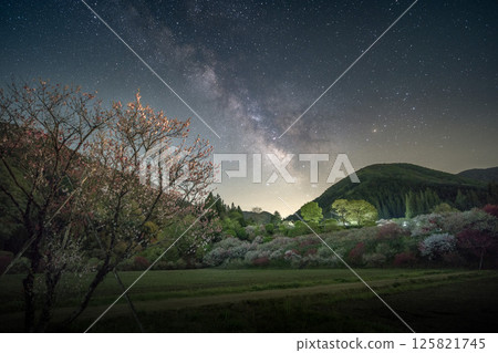 長野縣阿智村 - 桃花盛開的鄉村山村星空 125821745