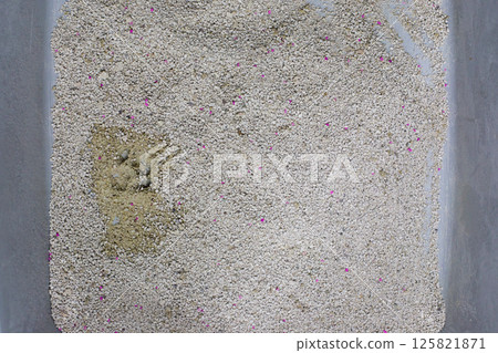 Cat litterbox, animal toilet closeup 125821871