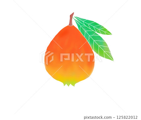 Scandinavian style illustration: Loquat Scandinavian style illustration: Loquat 125822012