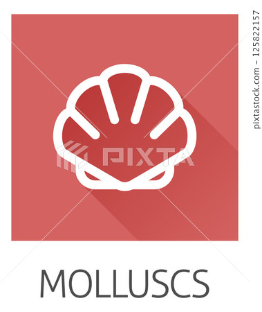 Seashell Shell Clam Mollusc Seafood Food Icon Seashell Shell Clam Mollusc Seafood Food Icon 125822157