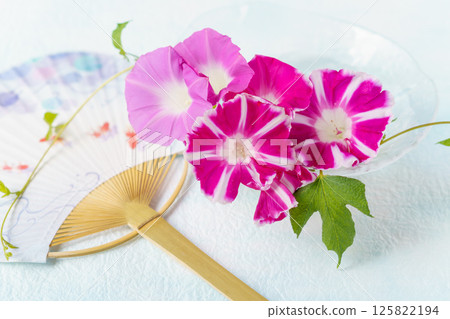 牽牛花和扇子夏季圖像背景 125822194