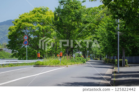初夏的加茂街道,京都市(京都府38號線京都廣河原美山線) 初夏的加茂街道,京都市(京都府38號線京都廣河原美山線) 125822442